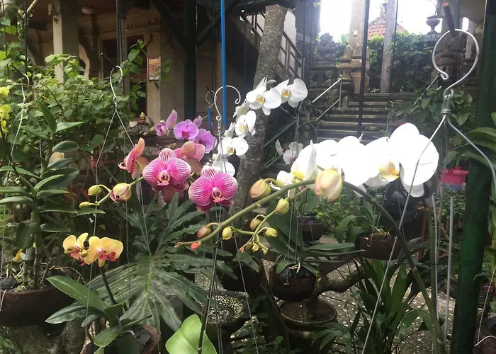 Séjour chez l'habitant Tungeh Family
